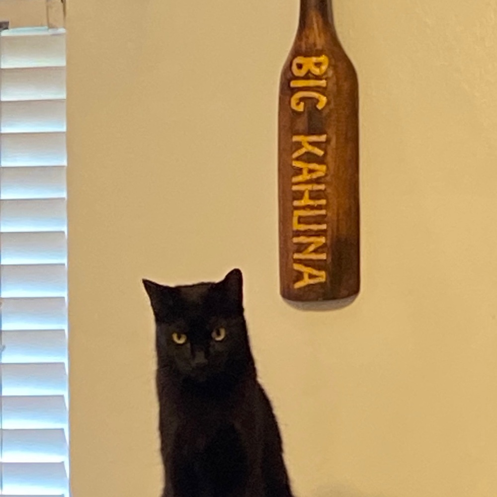 Meet your Posher, Kevin